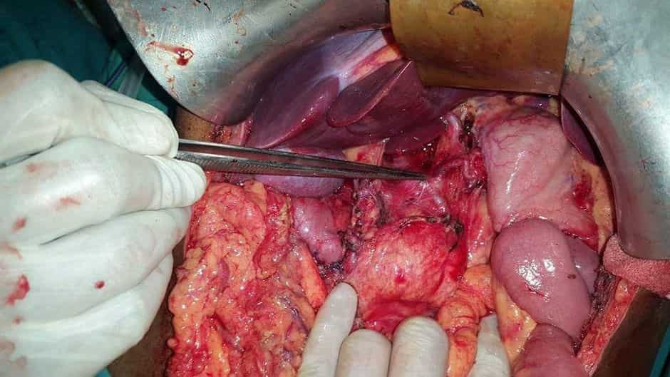 Dr. Suddhasattwa Sen