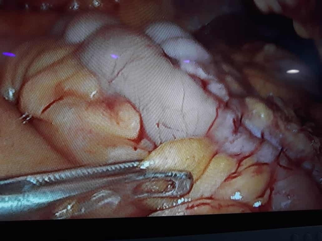 Dr. Suddhasattwa Sen