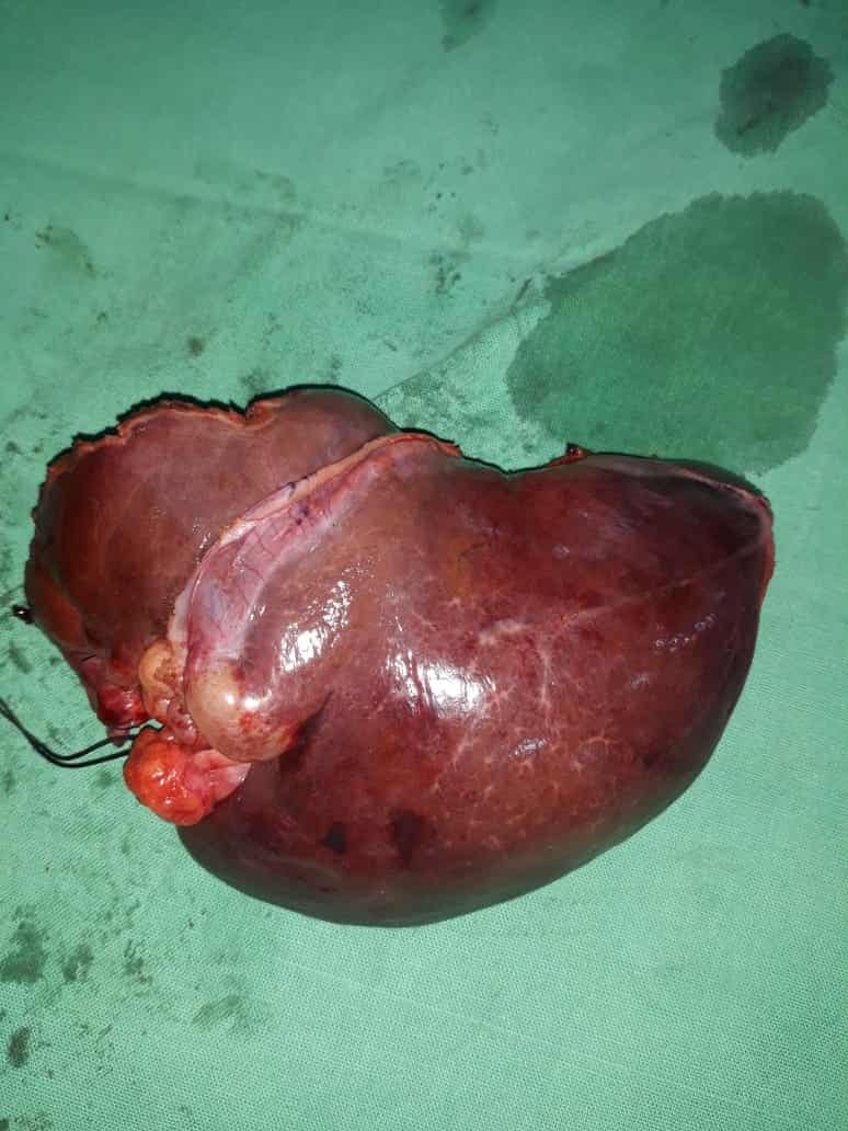 Dr. Suddhasattwa Sen